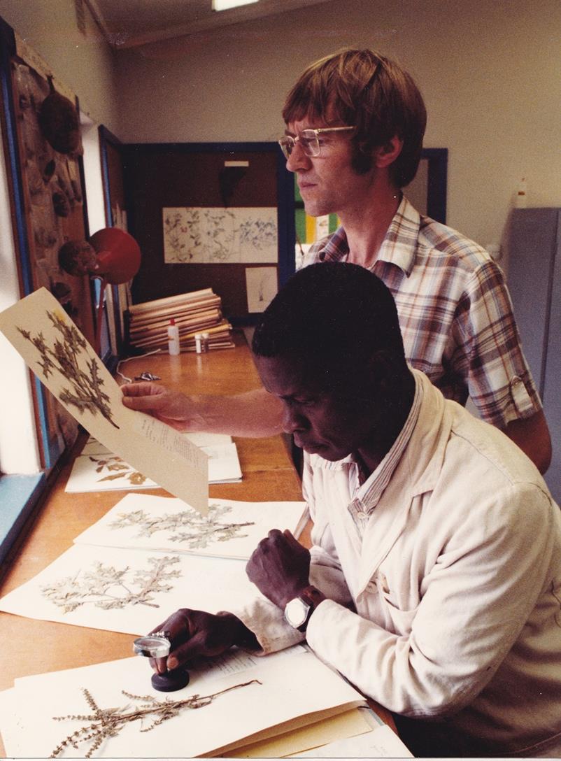 On the job' in the Mt Makulu herbarium, in 1983. My assistant was Francis Lupia who came to acquire a good knowledge of plants as he prepared the herbarium specimens On the job' in the Mt Makulu herbarium, in 1983. My assistant was Francis Lupia who came to acquire a good knowledge of plants as he prepared the herbarium specimens